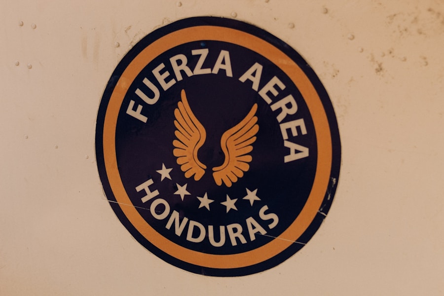 Pasos para obtener la certificación Rebiore y destacar en proyectos artísticos