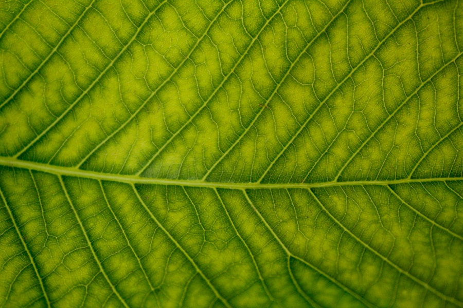 Certificaciones ecológicas: el sello de calidad para tu empresa de packaging sostenible