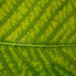 Cómo obtener certificaciones ISO y sellos ecológicos para ganar licitaciones: Guía completa