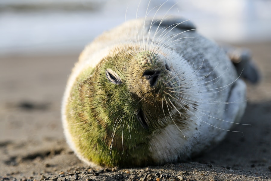 Sostenibilidad Garantizada: Los Fabricantes Coreanos Verificados por Proveedores Verificados son la Elección Inteligente