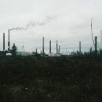 ¿ISO 14001 o sellos ecológicos? Descubre cuál es la mejor opción para tu negocio