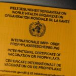 Beneficios y ventajas de las certificaciones sostenibles en el comercio internacional