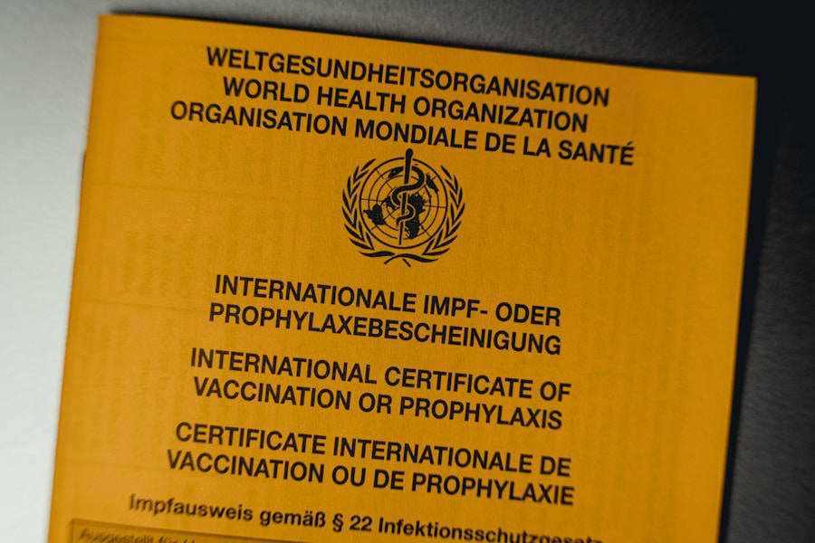 Beneficios y ventajas de las certificaciones sostenibles en el comercio internacional