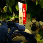 Las marcas de diseño ecológico que están revolucionando la moda sostenible