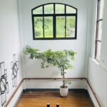 Sostenibilidad y creatividad: 5 ideas de emprendimiento artístico para inspirarte