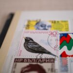 Descubre los sellos sostenibles más utilizados en Málaga y EAU: ¿Está tu marca entre ellos?