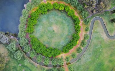 Creatividad sostenible: Cómo generar ingresos con un negocio basado en economía circular